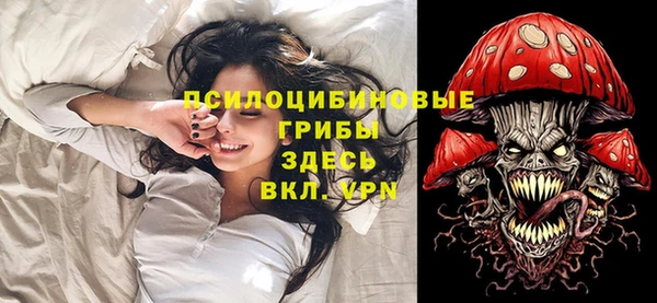спайс Беломорск