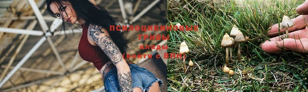 Альфа ПВП Белоозёрский