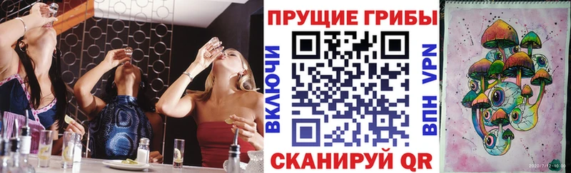 Галлюциногенные грибы MAGIC MUSHROOMS  наркотики  MEGA зеркало  Вышний Волочёк 